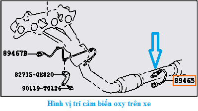 vị trí cảm biến oxy
